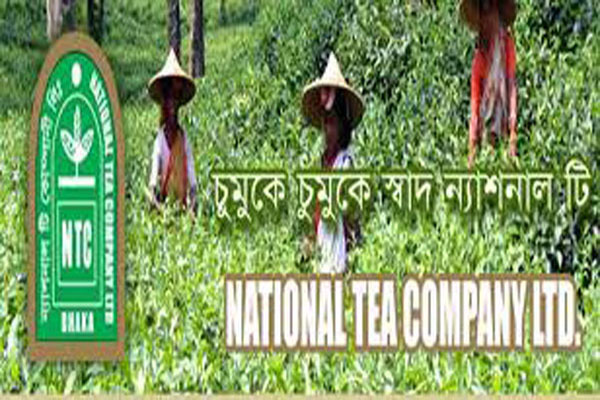 ন্যাশনাল টির `নো' ডিভিডেন্ড