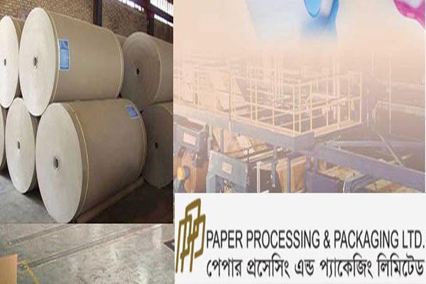 দর পতনের শীর্ষে পেপার প্রসেসিং