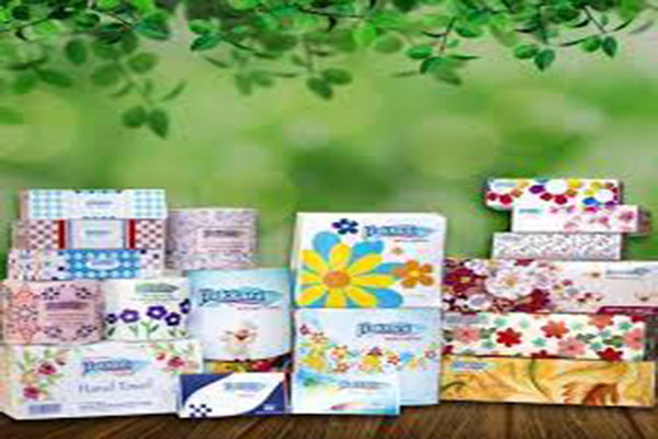 হাক্কানি পাল্পের মুনাফা বেড়েছে