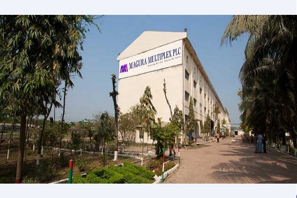মাগুরা মাল্টিপ্লেক্সের মুনাফা কমেছে