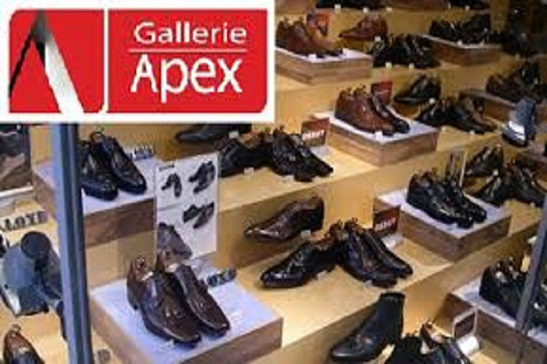 লভ্যাংশ বিতরণ করবে অ্যাপেক্স ফুটওয়্যার