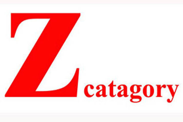 ৯ কোম্পানির অধ:পতন