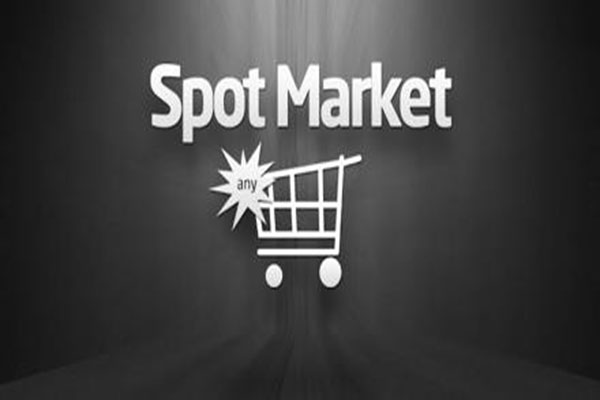 রবিবার ২ কোম্পানির স্পটে লেনদেন শুরু