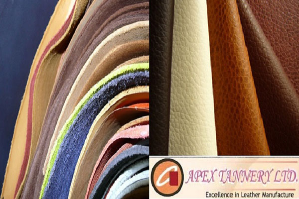 বারো কোটি টাকা ব্যয়ে ইটিপি বানাবে অ্যাপেক্স ট্যানারী