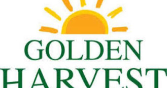 গোল্ডেন হার্ভেস্টের পরিচালকেরা সরাচ্ছেন ১ কোটি শেয়ার