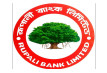 রূপালি ব্যাংকের পতন ৬৬৬৫ শতাংশ
