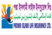 পদ্মা লাইফের ভবিষ্যৎ নিয়ে শঙ্কা নিরীক্ষকের
